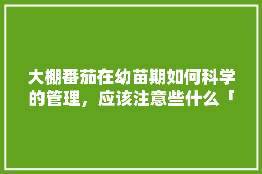大棚番茄在幼苗期如何科学的管理，应该注意些什么「夏季大棚番茄怎么种植视频」 大棚番茄在幼苗期如何科学的管理，应该注意些什么「夏季大棚番茄怎么种植视频」 农业常识