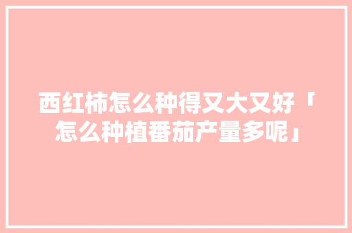 西红柿怎么种得又大又好「怎么种植番茄产量多呢」 西红柿怎么种得又大又好「怎么种植番茄产量多呢」 番茄病虫害防治