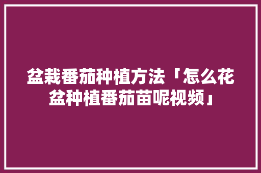 盆栽番茄种植方法「怎么花盆种植番茄苗呢视频」 盆栽番茄种植方法「怎么花盆种植番茄苗呢视频」 土壤施肥