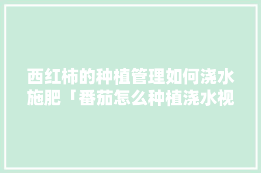 西红柿的种植管理如何浇水施肥「番茄怎么种植浇水视频」 西红柿的种植管理如何浇水施肥「番茄怎么种植浇水视频」 植物种类