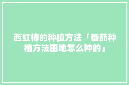 西红柿的种植方法「番茄种植方法田地怎么种的」 西红柿的种植方法「番茄种植方法田地怎么种的」 花朵知识