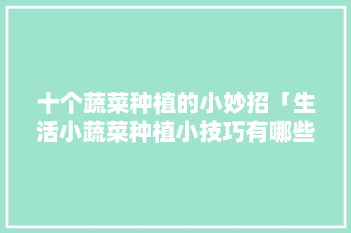 十个蔬菜种植的小妙招「生活小蔬菜种植小技巧有哪些」 十个蔬菜种植的小妙招「生活小蔬菜种植小技巧有哪些」 土壤施肥