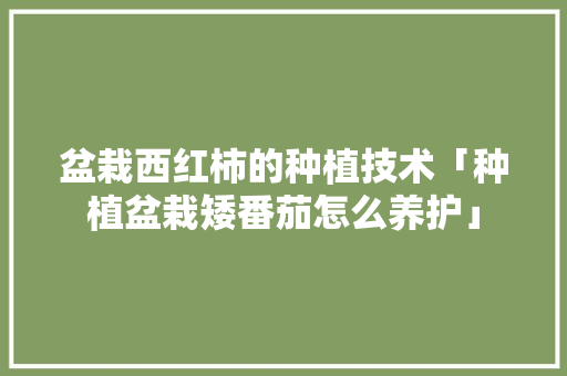 盆栽西红柿的种植技术「种植盆栽矮番茄怎么养护」 盆栽西红柿的种植技术「种植盆栽矮番茄怎么养护」 花朵知识