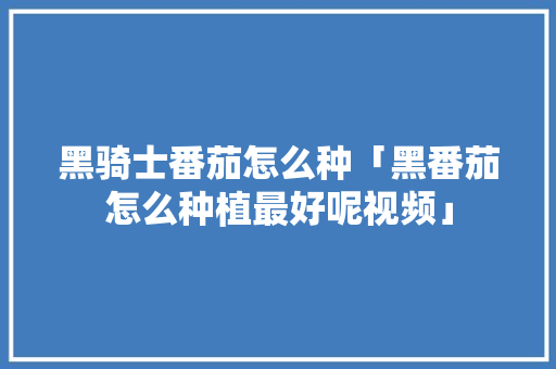 黑骑士番茄怎么种「黑番茄怎么种植最好呢视频」 花朵知识 黑骑士番茄怎么种「黑番茄怎么种植最好呢视频」 黑骑士番茄怎么种「黑番茄怎么种植最好呢视频」 花朵知识