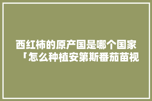 西红柿的原产国是哪个国家「怎么种植安第斯番茄苗视频」 西红柿的原产国是哪个国家「怎么种植安第斯番茄苗视频」 番茄病虫害防治