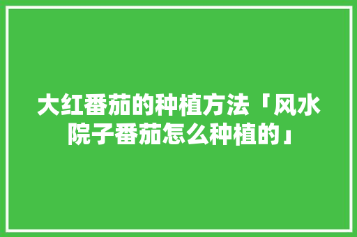 大红番茄的种植方法「风水院子番茄怎么种植的」 番茄种植技巧 大红番茄的种植方法「风水院子番茄怎么种植的」 大红番茄的种植方法「风水院子番茄怎么种植的」 番茄种植技巧