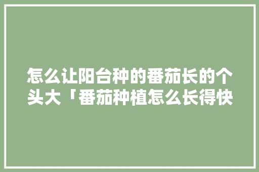 怎么让阳台种的番茄长的个头大「番茄种植怎么长得快些呢视频」 怎么让阳台种的番茄长的个头大「番茄种植怎么长得快些呢视频」 植物种类