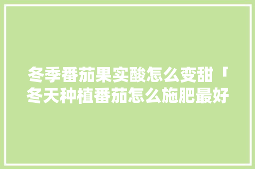 冬季番茄果实酸怎么变甜「冬天种植番茄怎么施肥最好」 冬季番茄果实酸怎么变甜「冬天种植番茄怎么施肥最好」 番茄病虫害防治