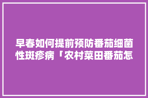 早春如何提前预防番茄细菌性斑疹病「农村菜田番茄怎么种植视频」