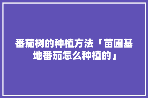番茄树的种植方法「苗圃基地番茄怎么种植的」 番茄树的种植方法「苗圃基地番茄怎么种植的」 番茄种植技巧