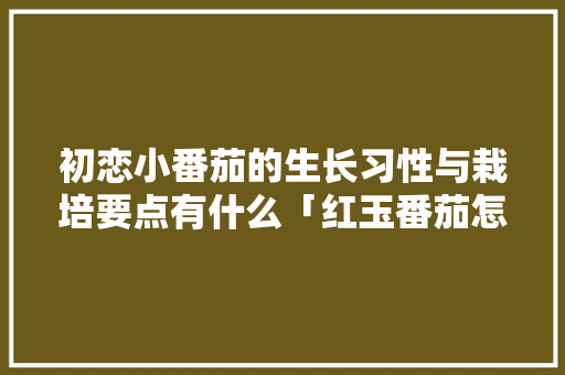 初恋小番茄的生长习性与栽培要点有什么「红玉番茄怎么种植视频」 初恋小番茄的生长习性与栽培要点有什么「红玉番茄怎么种植视频」 番茄病虫害防治