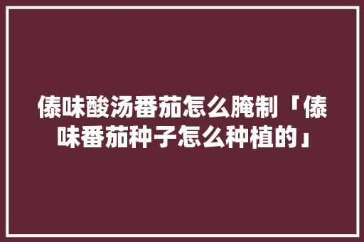 傣味酸汤番茄怎么腌制「傣味番茄种子怎么种植的」