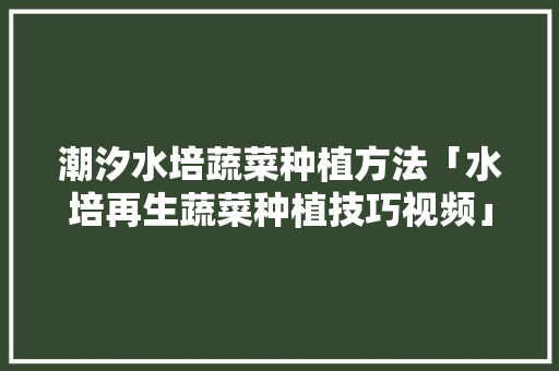 潮汐水培蔬菜种植方法「水培再生蔬菜种植技巧视频」 土壤施肥 潮汐水培蔬菜种植方法「水培再生蔬菜种植技巧视频」 潮汐水培蔬菜种植方法「水培再生蔬菜种植技巧视频」 土壤施肥