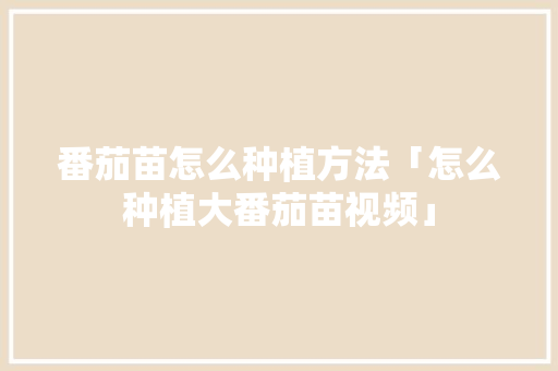 番茄苗怎么种植方法「怎么种植大番茄苗视频」 番茄苗怎么种植方法「怎么种植大番茄苗视频」 番茄种植技巧