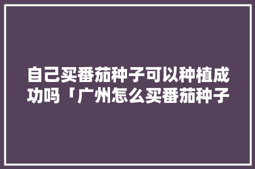 自己买番茄种子可以种植成功吗「广州怎么买番茄种子种植的」 自己买番茄种子可以种植成功吗「广州怎么买番茄种子种植的」 植物种类