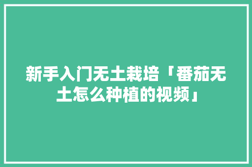 新手入门无土栽培「番茄无土怎么种植的视频」