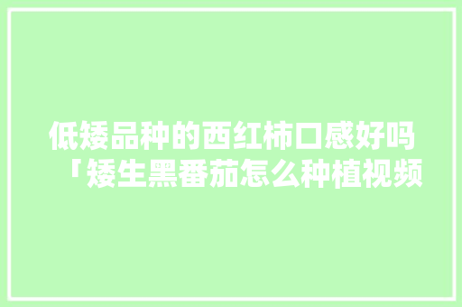 低矮品种的西红柿口感好吗「矮生黑番茄怎么种植视频」 土壤施肥 低矮品种的西红柿口感好吗「矮生黑番茄怎么种植视频」 低矮品种的西红柿口感好吗「矮生黑番茄怎么种植视频」 土壤施肥