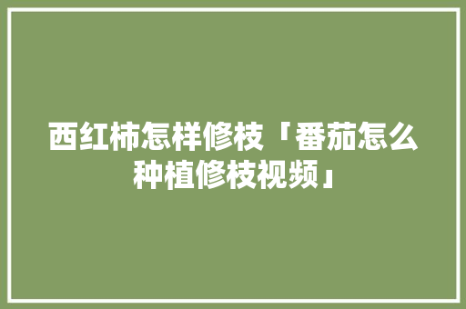 西红柿怎样修枝「番茄怎么种植修枝视频」