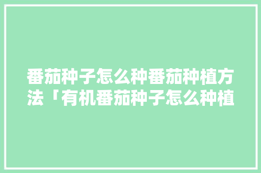 番茄种子怎么种番茄种植方法「有机番茄种子怎么种植的视频」 番茄种子怎么种番茄种植方法「有机番茄种子怎么种植的视频」 种植技巧