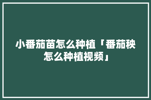 小番茄苗怎么种植「番茄秧怎么种植视频」 小番茄苗怎么种植「番茄秧怎么种植视频」 农业常识