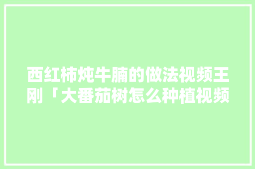 西红柿炖牛腩的做法视频王刚「大番茄树怎么种植视频教程」 西红柿炖牛腩的做法视频王刚「大番茄树怎么种植视频教程」 花朵知识