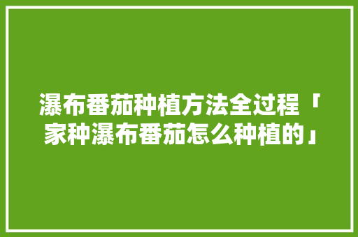 瀑布番茄种植方法全过程「家种瀑布番茄怎么种植的」 瀑布番茄种植方法全过程「家种瀑布番茄怎么种植的」 植物种类