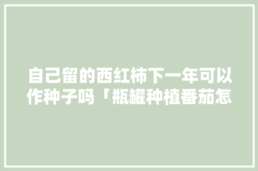 自己留的西红柿下一年可以作种子吗「瓶罐种植番茄怎么种植的」 自己留的西红柿下一年可以作种子吗「瓶罐种植番茄怎么种植的」 土壤施肥