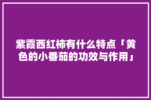 紫霞西红柿有什么特点「黄色的小番茄的功效与作用」 紫霞西红柿有什么特点「黄色的小番茄的功效与作用」 番茄种植技巧