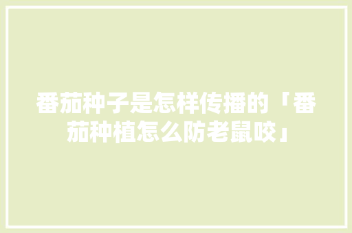 番茄种子是怎样传播的「番茄种植怎么防老鼠咬」 植物种类 番茄种子是怎样传播的「番茄种植怎么防老鼠咬」 番茄种子是怎样传播的「番茄种植怎么防老鼠咬」 植物种类