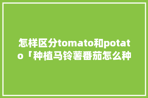 怎样区分tomato和potato「种植马铃薯番茄怎么种植」 怎样区分tomato和potato「种植马铃薯番茄怎么种植」 种植技巧