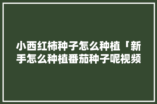 小西红柿种子怎么种植「新手怎么种植番茄种子呢视频」 小西红柿种子怎么种植「新手怎么种植番茄种子呢视频」 花朵知识