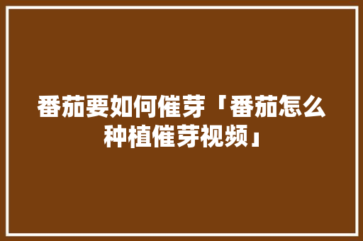 番茄要如何催芽「番茄怎么种植催芽视频」 番茄要如何催芽「番茄怎么种植催芽视频」 土壤施肥