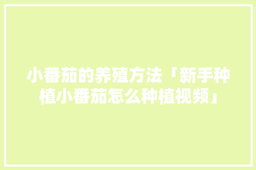 小番茄的养殖方法「新手种植小番茄怎么种植视频」 小番茄的养殖方法「新手种植小番茄怎么种植视频」 种植技巧