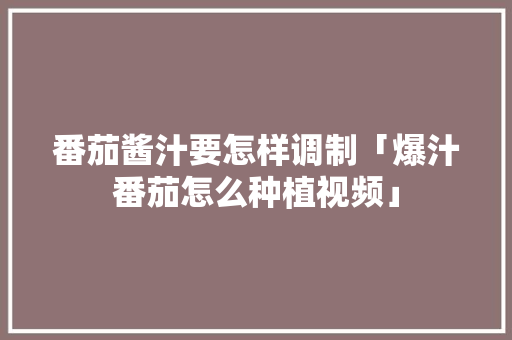 番茄酱汁要怎样调制「爆汁番茄怎么种植视频」 番茄酱汁要怎样调制「爆汁番茄怎么种植视频」 花朵知识