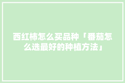 西红柿怎么买品种「番茄怎么选最好的种植方法」 西红柿怎么买品种「番茄怎么选最好的种植方法」 土壤施肥