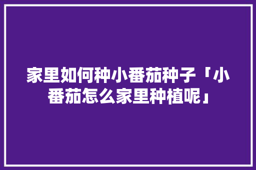 家里如何种小番茄种子「小番茄怎么家里种植呢」 家里如何种小番茄种子「小番茄怎么家里种植呢」 农业常识