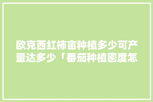 欧克西红柿亩种植多少可产量达多少「番茄种植密度怎么算的」
