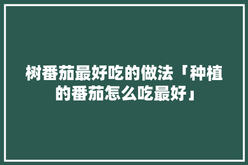 树番茄最好吃的做法「种植的番茄怎么吃最好」