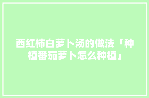 西红柿白萝卜汤的做法「种植番茄萝卜怎么种植」 西红柿白萝卜汤的做法「种植番茄萝卜怎么种植」 番茄种植技巧