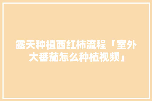 露天种植西红柿流程「室外大番茄怎么种植视频」 土壤施肥 露天种植西红柿流程「室外大番茄怎么种植视频」 露天种植西红柿流程「室外大番茄怎么种植视频」 土壤施肥