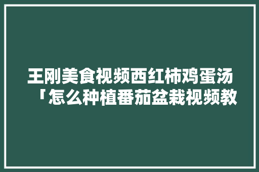 王刚美食视频西红柿鸡蛋汤「怎么种植番茄盆栽视频教程」 王刚美食视频西红柿鸡蛋汤「怎么种植番茄盆栽视频教程」 土壤施肥
