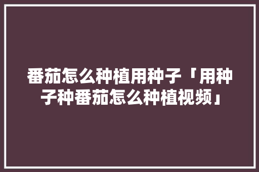 番茄怎么种植用种子「用种子种番茄怎么种植视频」 番茄怎么种植用种子「用种子种番茄怎么种植视频」 种植技巧