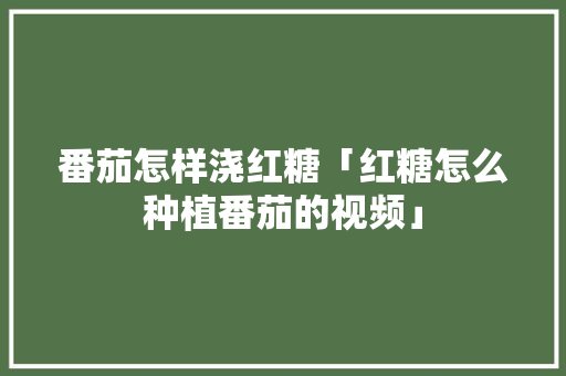 番茄怎样浇红糖「红糖怎么种植番茄的视频」