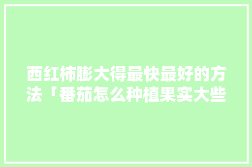 西红柿膨大得最快最好的方法「番茄怎么种植果实大些呢」 西红柿膨大得最快最好的方法「番茄怎么种植果实大些呢」 农业常识