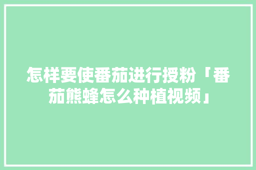怎样要使番茄进行授粉「番茄熊蜂怎么种植视频」 怎样要使番茄进行授粉「番茄熊蜂怎么种植视频」 番茄病虫害防治