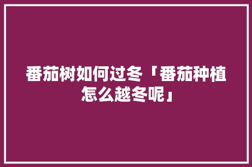 番茄树如何过冬「番茄种植怎么越冬呢」 番茄树如何过冬「番茄种植怎么越冬呢」 番茄病虫害防治