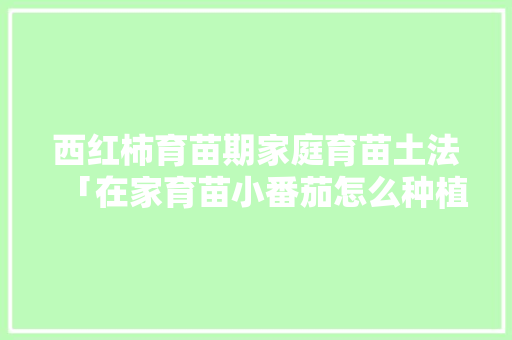西红柿育苗期家庭育苗土法「在家育苗小番茄怎么种植视频」 西红柿育苗期家庭育苗土法「在家育苗小番茄怎么种植视频」 花朵知识