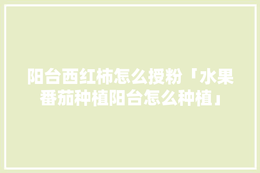 阳台西红柿怎么授粉「水果番茄种植阳台怎么种植」 阳台西红柿怎么授粉「水果番茄种植阳台怎么种植」 农业常识