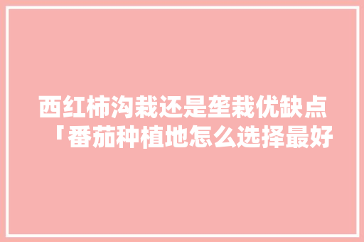 西红柿沟栽还是垄栽优缺点「番茄种植地怎么选择最好呢」 西红柿沟栽还是垄栽优缺点「番茄种植地怎么选择最好呢」 土壤施肥