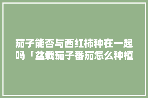 茄子能否与西红柿种在一起吗「盆栽茄子番茄怎么种植视频」 茄子能否与西红柿种在一起吗「盆栽茄子番茄怎么种植视频」 农业常识